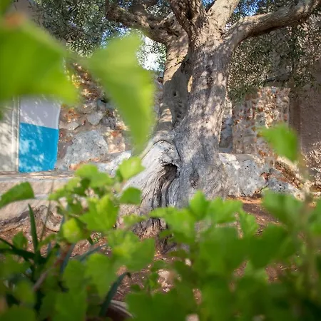 Holiday home Dimora Ideale Salento3 Per Coppia Vista Mare Mozzafiato Immersa Nel Per Gli Amanti Della Tranquilita
