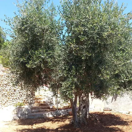 Dimora Ideale Salento3 Per Coppia Vista Mare Mozzafiato Immersa Nel Per Gli Amanti Della Tranquilita Holiday home *
