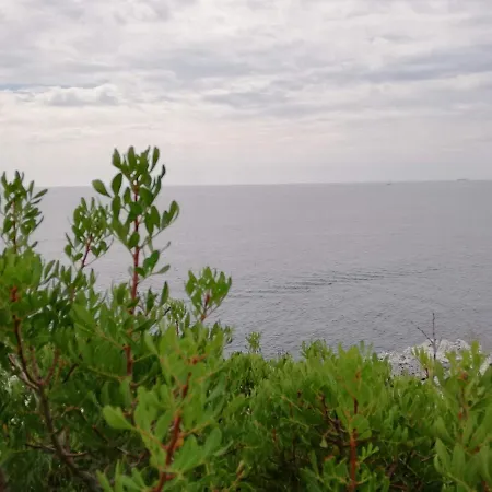 Dimora Ideale Salento3 Per Coppia Vista Mare Mozzafiato Immersa Nel Per Gli Amanti Della Tranquilita *
